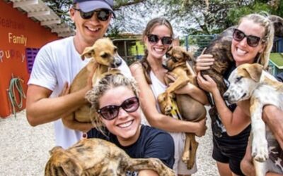 Bonaire – Covid Times & The Seahawk Puppy Village