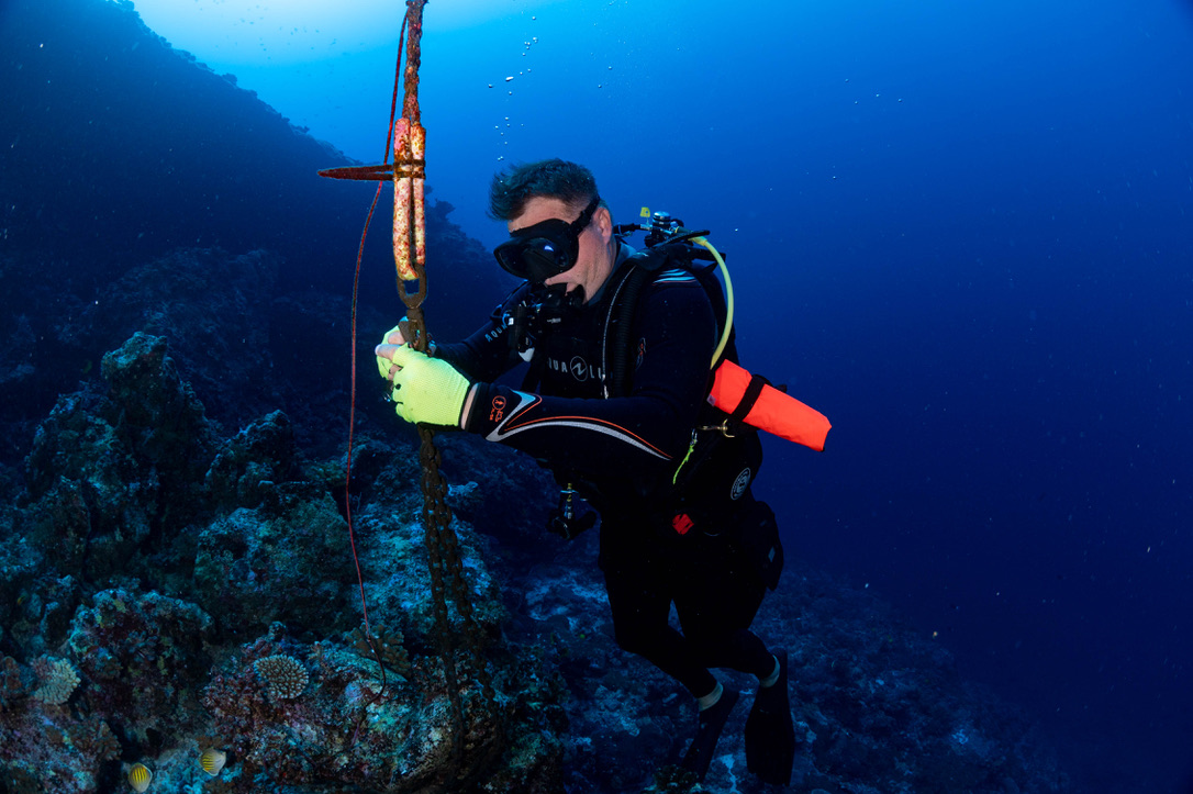Rodolphe Removing Reciever Diver removes shark tag reciever