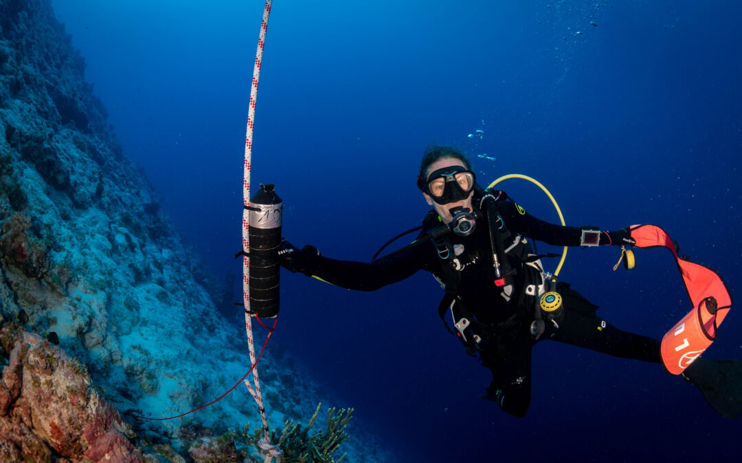 French Polynesia – Operation Swimway