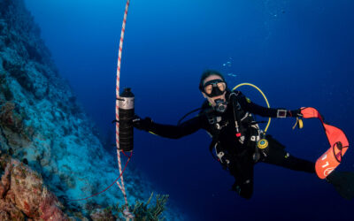 French Polynesia – Operation Swimway