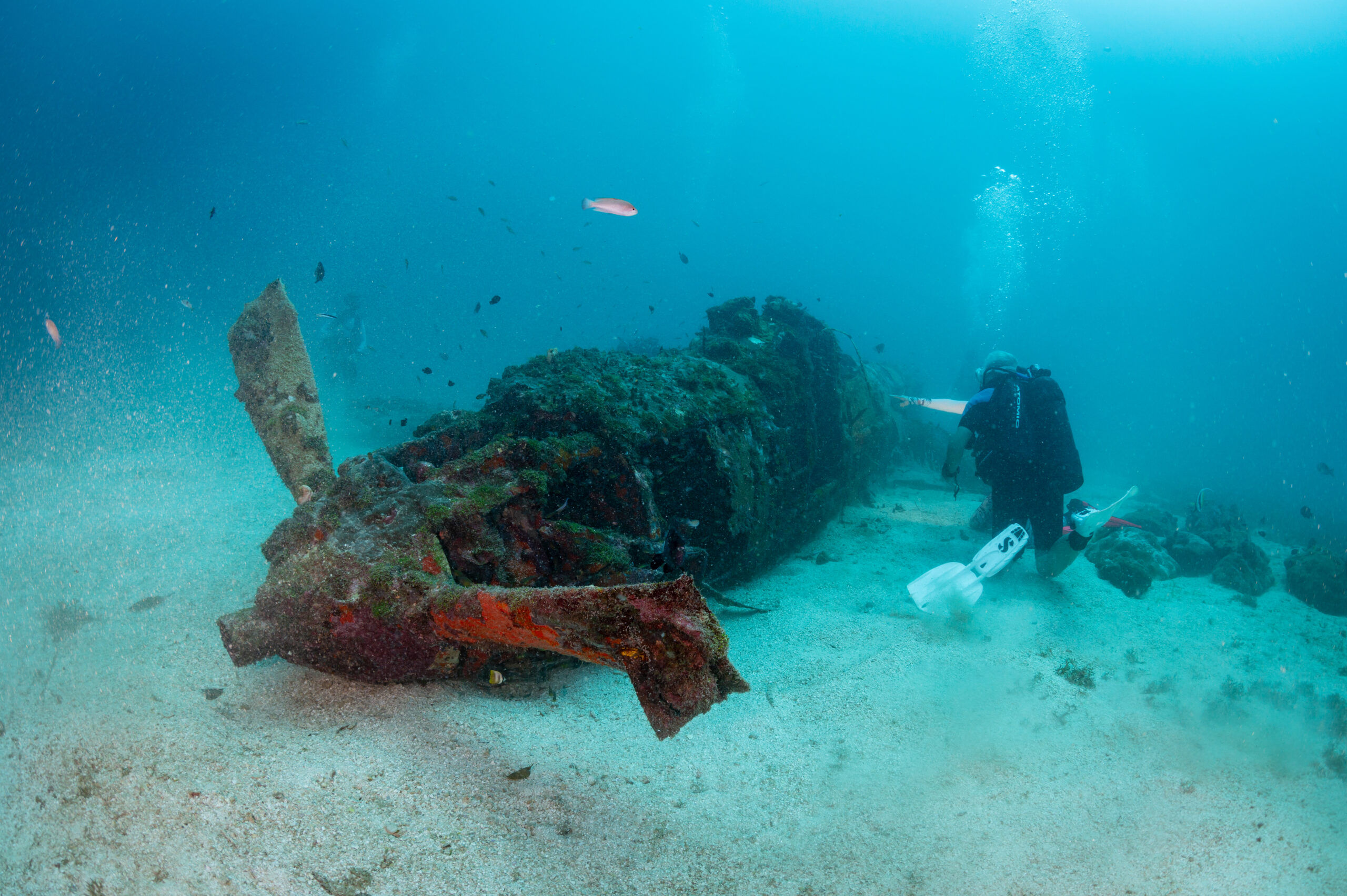 Plane Wreck