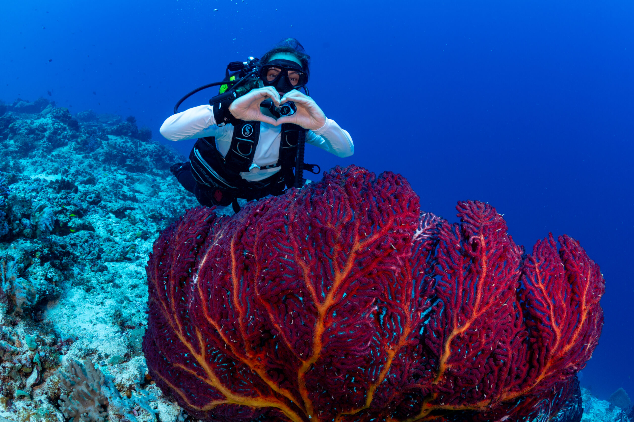 Nicola Heart diver making heart shape with hands over a red fan coral