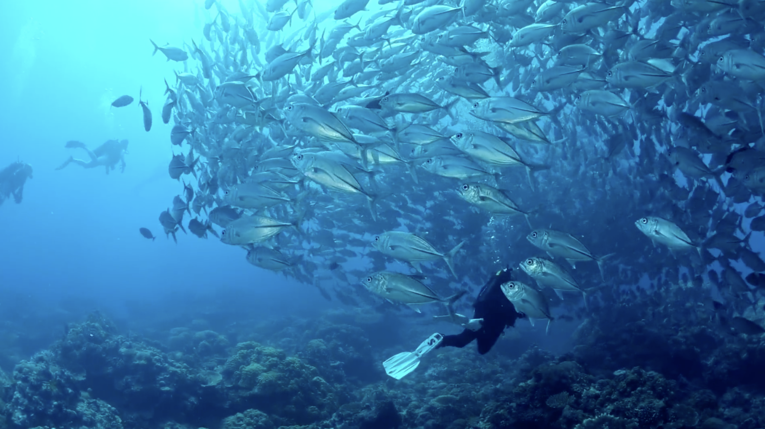 Palau fish Science team in stormy weather