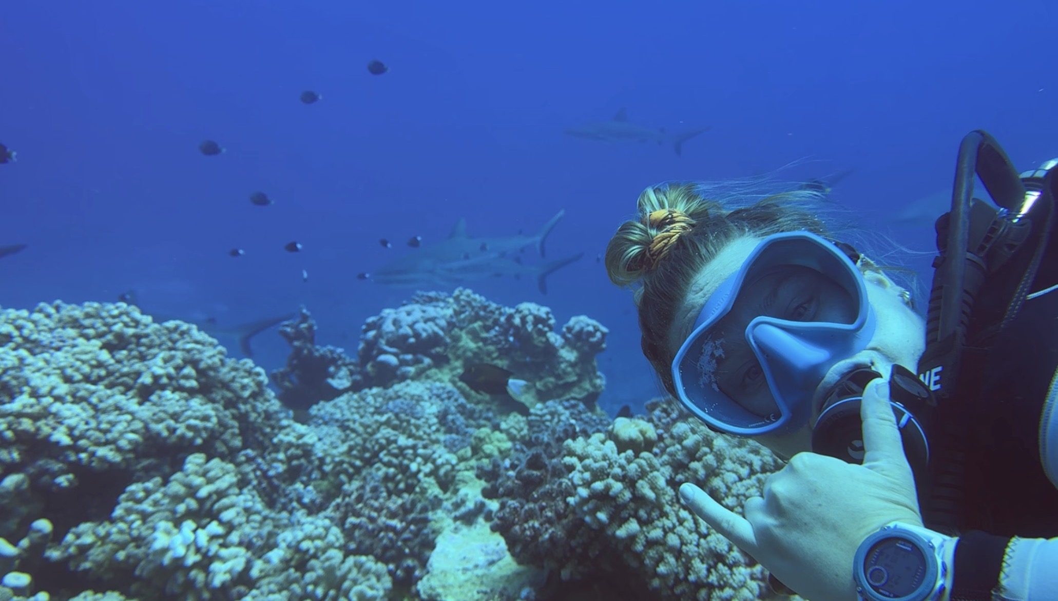 Scuba diver with sharks and coral reef